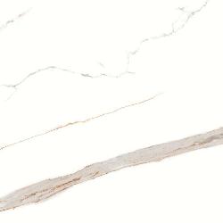 ������������ Signorina Gold carving 60*60��