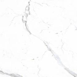 NR101 ������������ Dario  Matt 600*600 
