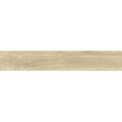 ������������ Ajanta-ash 20x120