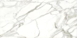 ������ ������ ������������ ����� SG50002520R 59,5�119,1 �������