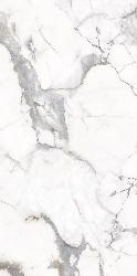 PR223 ������������ Maverick White 60*120�� polished