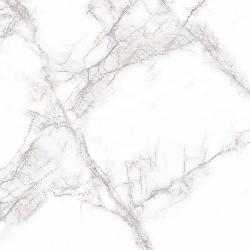 PR114 ������������ Arena White Polished 600*600 