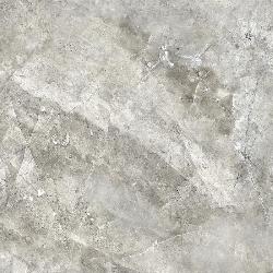 PR123 ������������ Mezza Grey Polished 600*600
