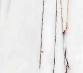 ������ ��������� ROSSO VENATO 42�42