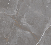 �������� ���� ������������ ����-������� LP6012G0041R 59,5�119,1 ������� �������
