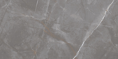 �������� ���� ������������ ����-������� LP6012G0041R 59,5�119,1 ������� �������