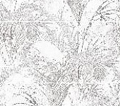 ���� / Neri S/3 SW9NER00 ����� 747*500