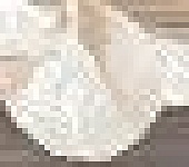 ������ 50,5*6,2 AMATI PLUMERIA ALBA