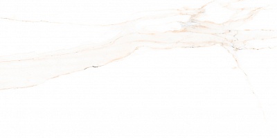 Golden Statuario ������������ s ������� 60x120 ������������