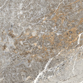 Fantastico Grey Granito ������������ 60�60 ������������