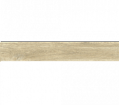 ������������ Ajanta-ash 20x120
