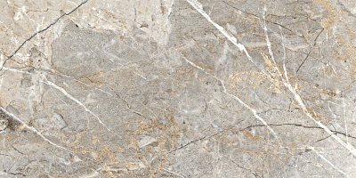 Fantastico Grey Granito ������������ 60�120 ������������