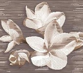 ����� 50,5*40,2 AMATI PLUMERIA ALBA (2 ��)