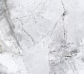 ����� ����� / Frost Shadow WT15FRR15R ������ ��������� 246*740