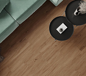 Canarium Brown