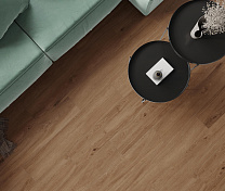 Canarium Brown