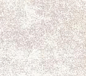 TWU09PMT404 ������ ������������ ������� / Piemonte 249*500