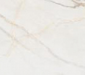 GP60120PUR09M ������������ ������� ���� ����� ���� / Pure Marble Gold 600*1200