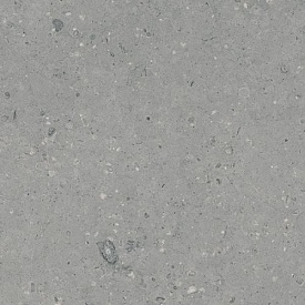 G213 ������ ����� �������.