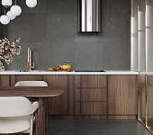 Evolution Gris