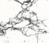 CR206 ������������ Blanco Tranco 60*120�� carving