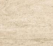 GFA3060BWD04R ������������ ������� �������� / Brentwood 300*600