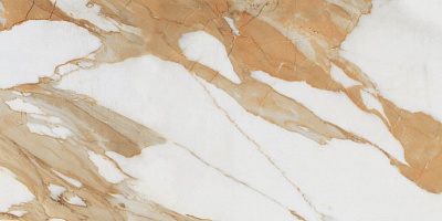 Royal Statuario ������������ 60�120 ������������