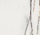 ������ ��������� ROSSO VENATO 31.5�63