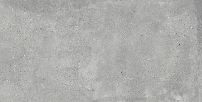 Callisto Gray ������������ 60x120 �������