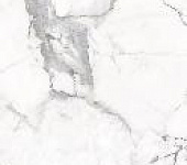 PR223 ������������ Maverick White 60*120�� polished